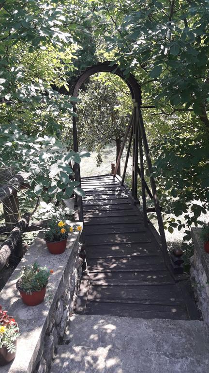 Skriveni Raj Διαμέρισμα Vrdnik Δωμάτιο φωτογραφία