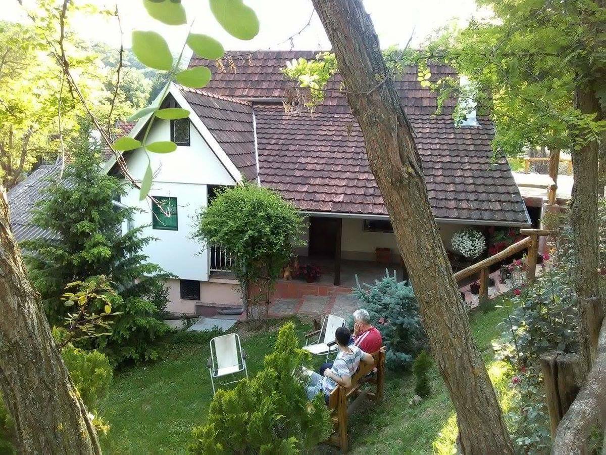 Skriveni Raj Διαμέρισμα Vrdnik Εξωτερικό φωτογραφία