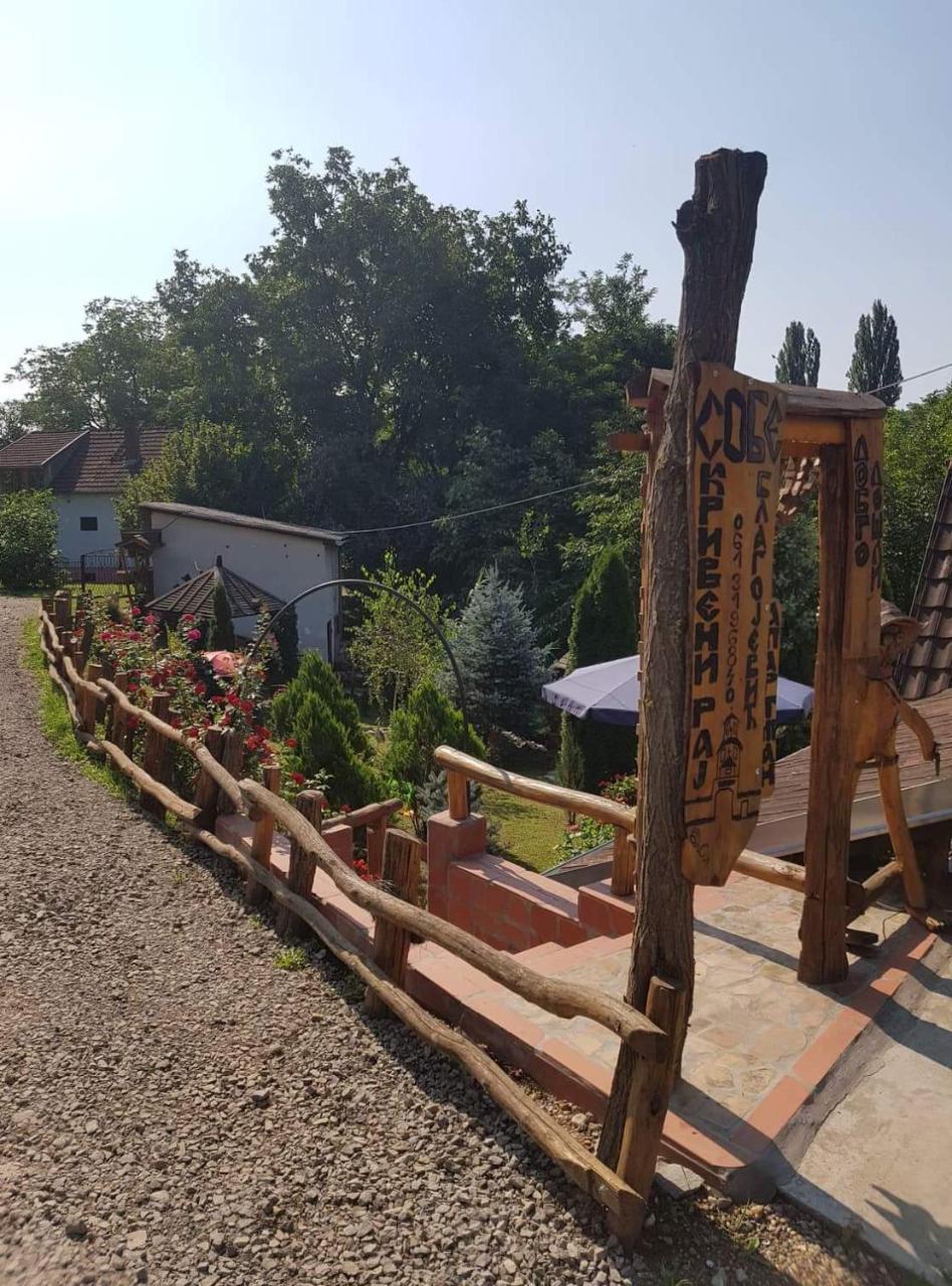 Skriveni Raj Διαμέρισμα Vrdnik Εξωτερικό φωτογραφία