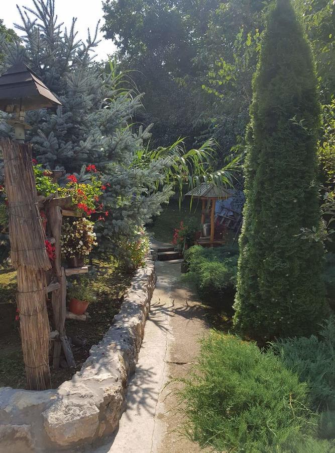 Skriveni Raj Διαμέρισμα Vrdnik Δωμάτιο φωτογραφία