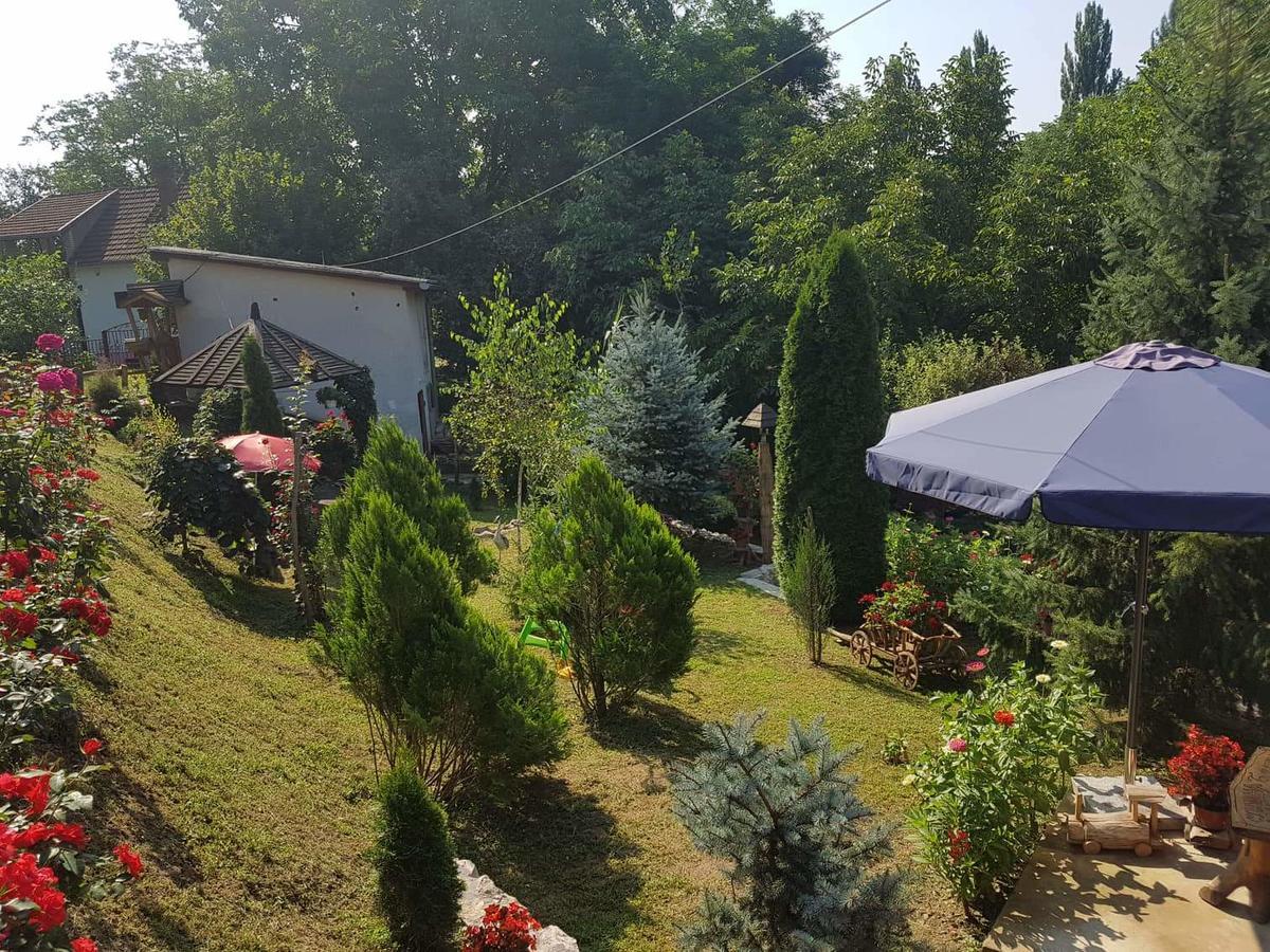 Skriveni Raj Διαμέρισμα Vrdnik Δωμάτιο φωτογραφία
