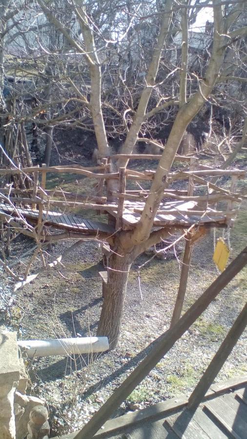 Skriveni Raj Διαμέρισμα Vrdnik Εξωτερικό φωτογραφία