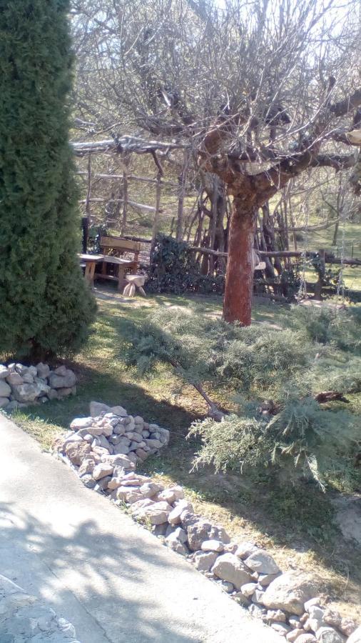 Skriveni Raj Διαμέρισμα Vrdnik Εξωτερικό φωτογραφία