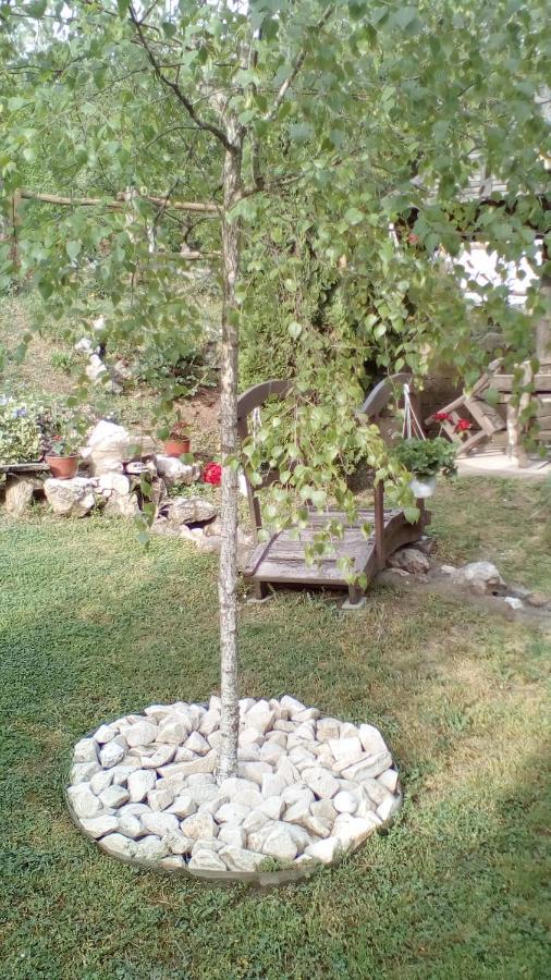 Skriveni Raj Διαμέρισμα Vrdnik Εξωτερικό φωτογραφία