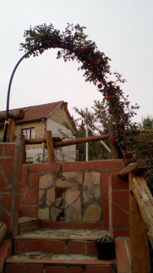 Skriveni Raj Διαμέρισμα Vrdnik Εξωτερικό φωτογραφία